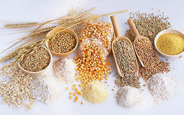 Por que as Fibras São o Segredo da Saciedade (Segundo Harvard e Oxford)