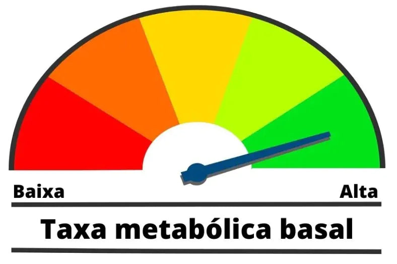 Impacto das canetas emagrecedoras no metabolismo basal a longo prazo