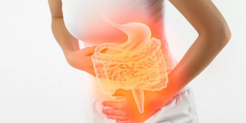 Efeitos gastrointestinais e risco de deficiências nutricionais