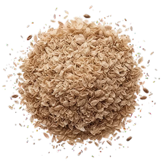 Psyllium