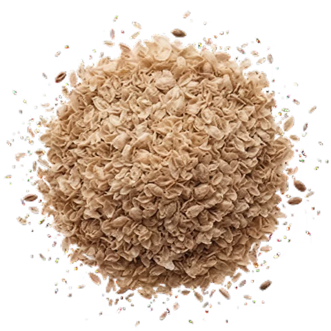 Psyllium