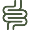 Equilíbrio Intestinal