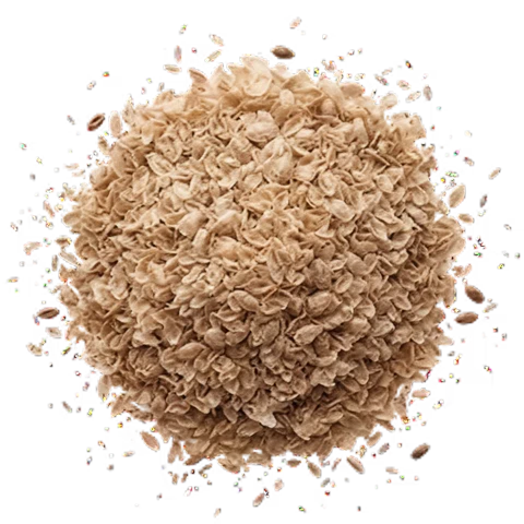 Psyllium